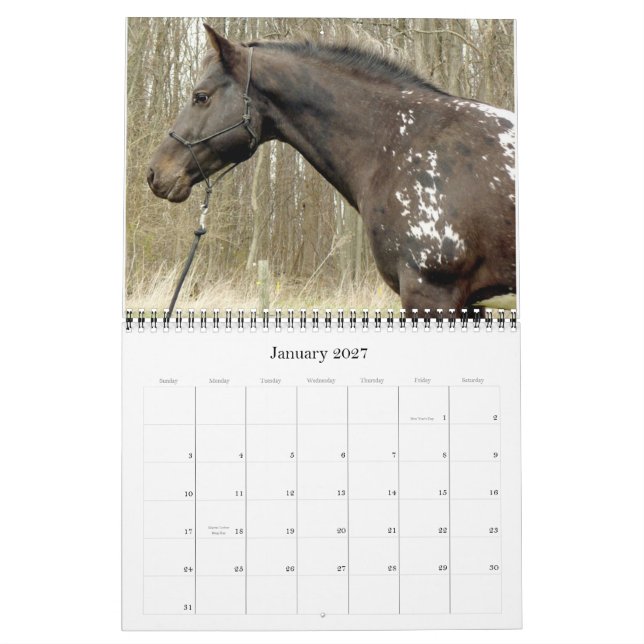 HAR SPOTS? 2011 APPALOSA CALENDAR KALENDER (Jan 2027)