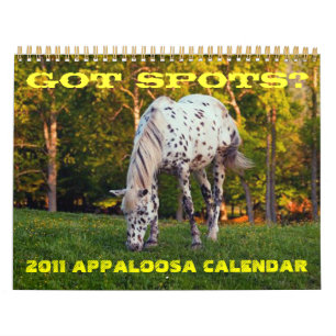 HAR SPOTS? 2011 APPALOSA CALENDAR KALENDER