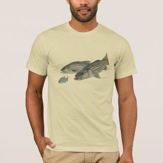 Har Stripa? Tee Shirt