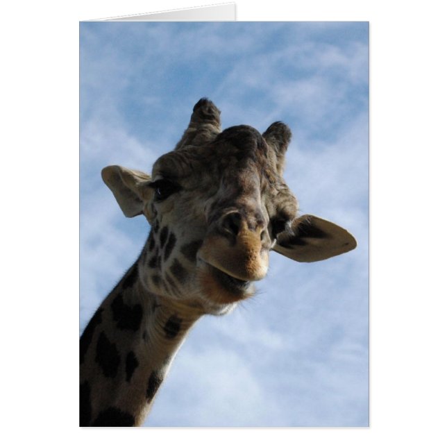 Här tittar du! OBS kort (Framsidan)