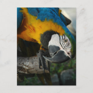 Här Tittar du Vykort