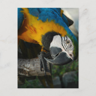 Här Tittar du Vykort