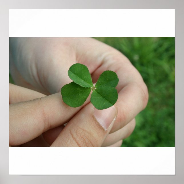 Har tur? poster (Framsidan)