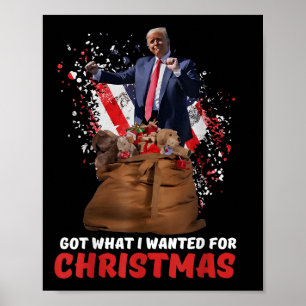 Har vad jag ville ha till jul - Trump Won 2024 Poster