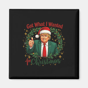 Har vad jag ville ha till julklapp 2024 5 magnet