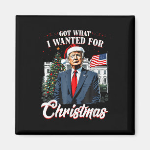 Har vad jag ville ha till julklapp 2024 magnet