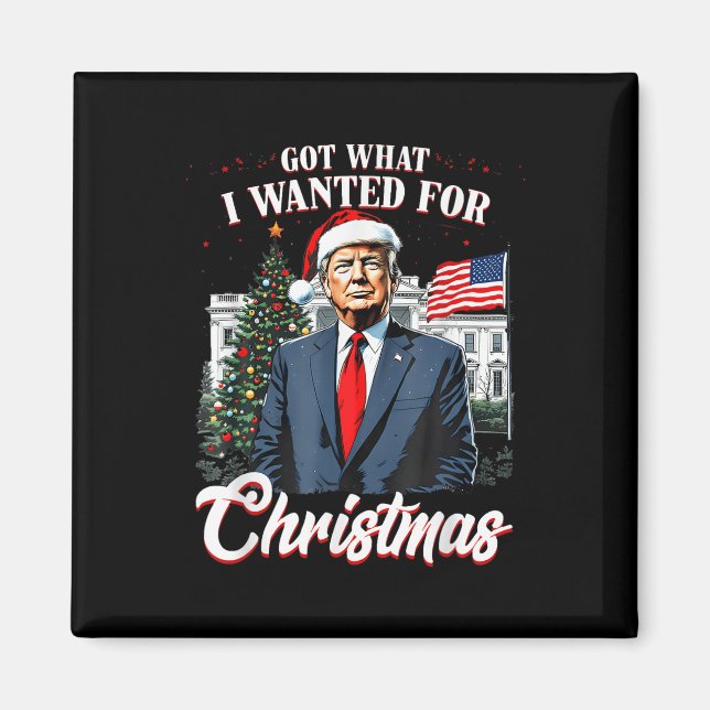 Har vad jag ville ha till julklapp 2024 magnet (Framsidan)