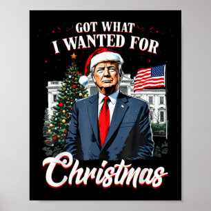 Har vad jag ville ha till julklapp 2024 poster