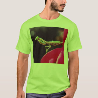 Har vi introducerats? tee