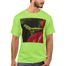 Har vi introducerats?