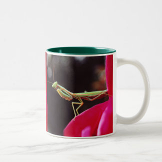 Har vi introducerats? Två-Tonad mugg