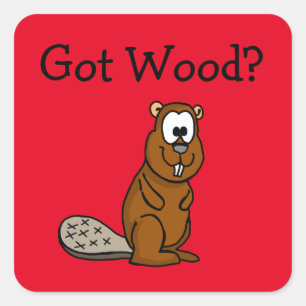 Har Wood? Beaver-fästare Fyrkantigt Klistermärke