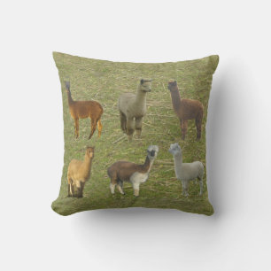 HarAlpacas? Kudde