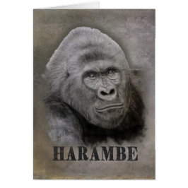 Harambe (Graphite Teckning) OBS Kort