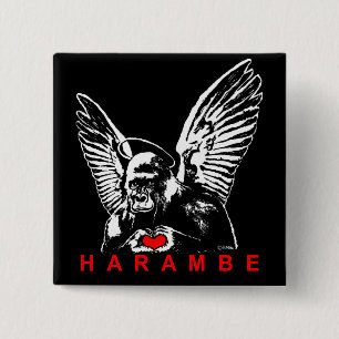 Harambe Knapp