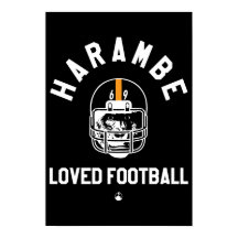 Harambe Loved Football