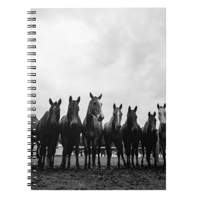 HARAS LA POLACA ANTECKNINGSBOK (Framsidan)