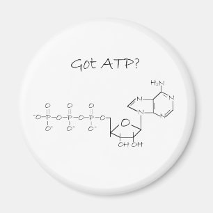 HarATP? Magnet