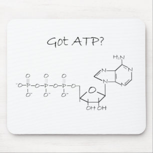 HarATP? Musmatta