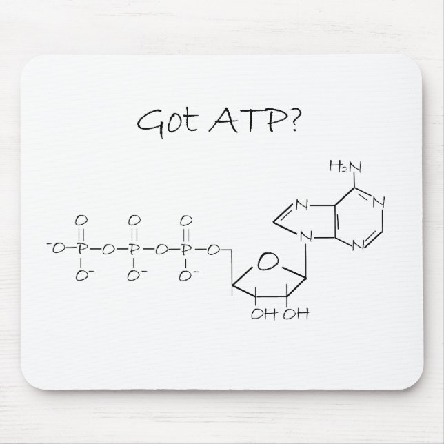 HarATP? Musmatta (Framsidan)