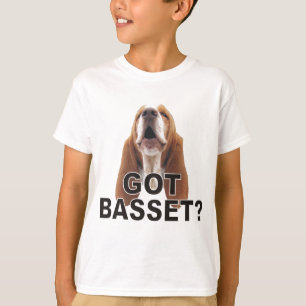 HarBasset? När du tjuter Bassethund lurar Tee
