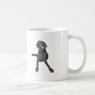 Harben? Mugg Weimaraner