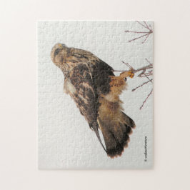 Hårbenad Hawk i Träd Pussel