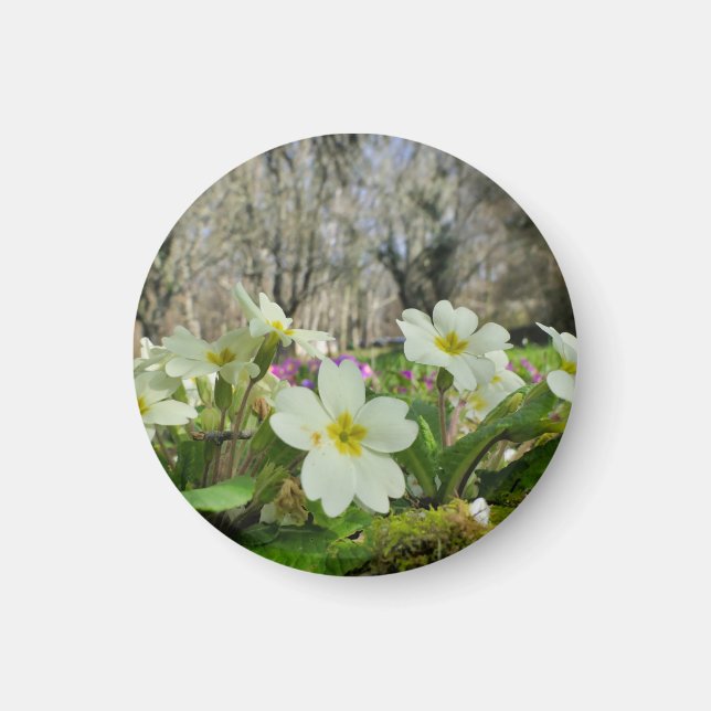 Harbinger från Vår Magnet (Framsidan)