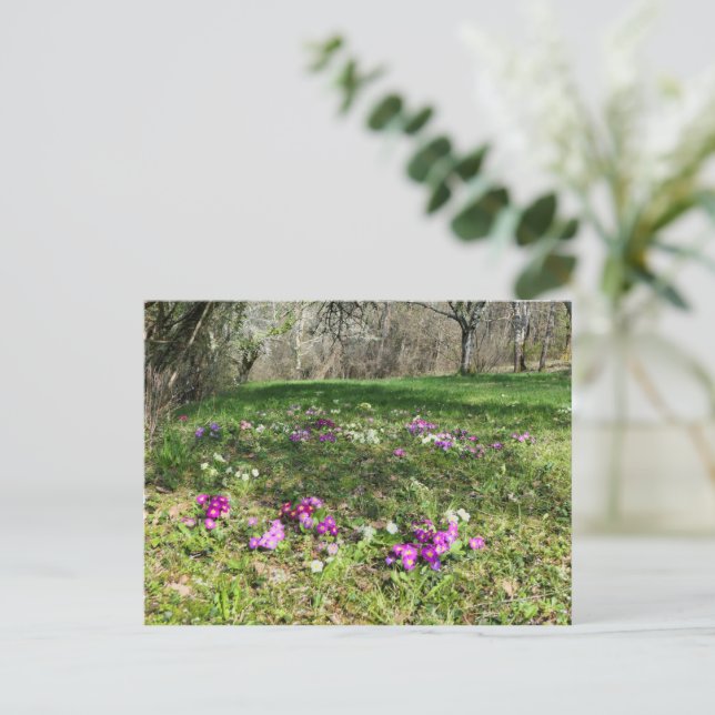 Harbinger från Vår Vykort (Stående Fram)