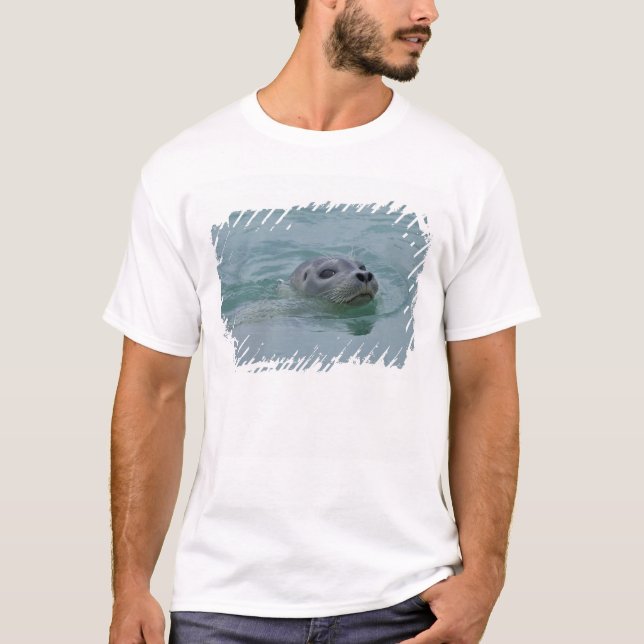Harbor Seal simmande i Jokulsarlon glaciös sjö T-shirt (Framsida)