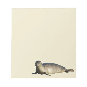 Harbor Seal vid La Jolla California Anteckningsblock