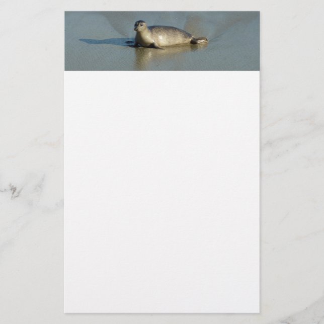 Harbor Seal vid La Jolla California Brevpapper (Framsida)