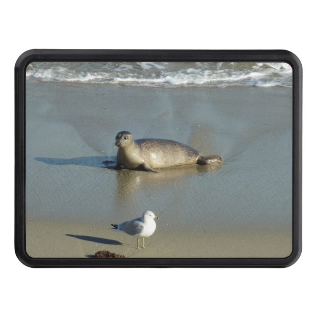 Harbor Seal vid La Jolla California Dragkroksskydd (Framsidan)