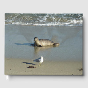 Harbor Seal vid La Jolla California Gästböcker