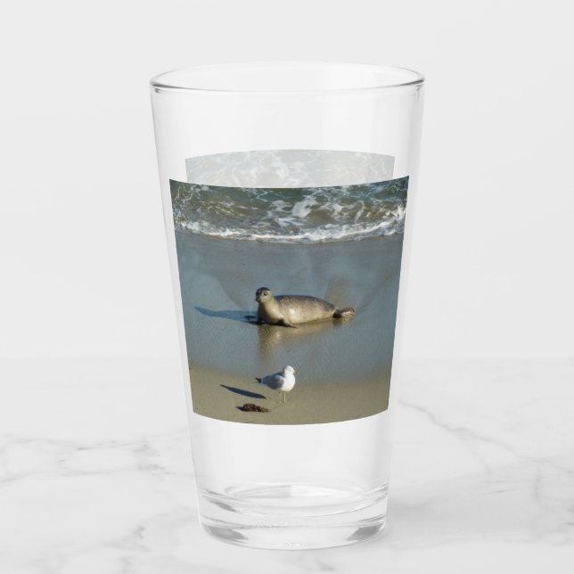 Harbor Seal vid La Jolla California Glaskopp (Framsida)