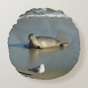 Harbor Seal vid La Jolla California Rund Kudde