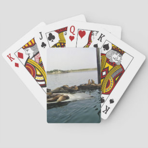 Harbour Sälar, Morro Bay, Kalifornien Casinokort