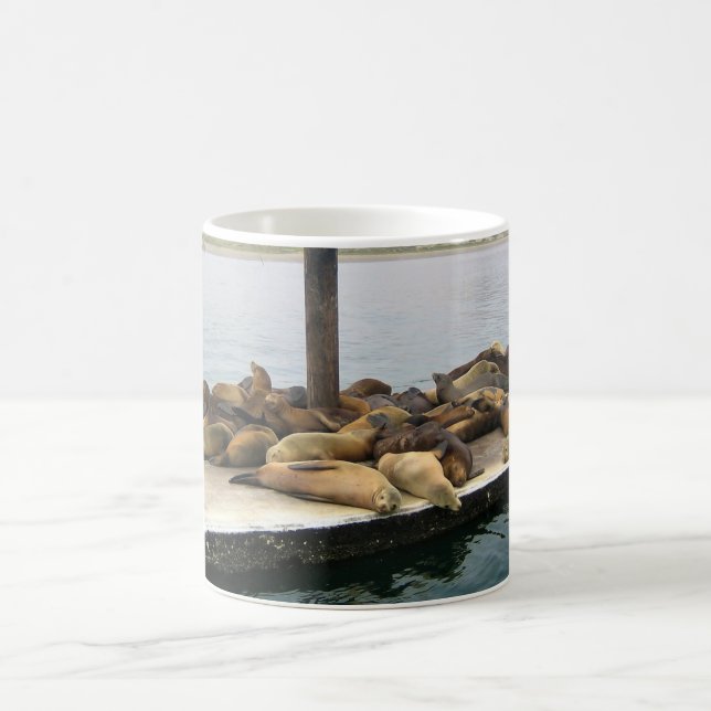 Harbour Sälar, Morro Bay, Kalifornien Kaffemugg (Center)