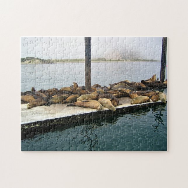 Harbour Sälar, Morro Bay, Kalifornien Pussel (Horisontell)