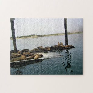 Harbour Sälar, Morro Bay, Kalifornien Pussel