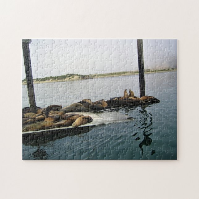 Harbour Sälar, Morro Bay, Kalifornien Pussel (Horisontell)