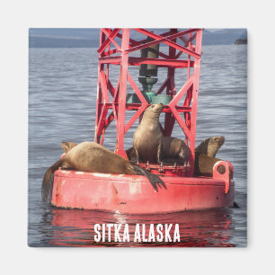 Harbour Sälar - Sitka Alaska Magnet