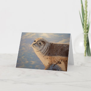 Harbour Seal P.E.I. Kort