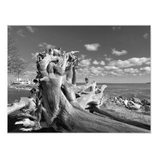 Harbour View - Plymouth, Massachusetts Fototryck