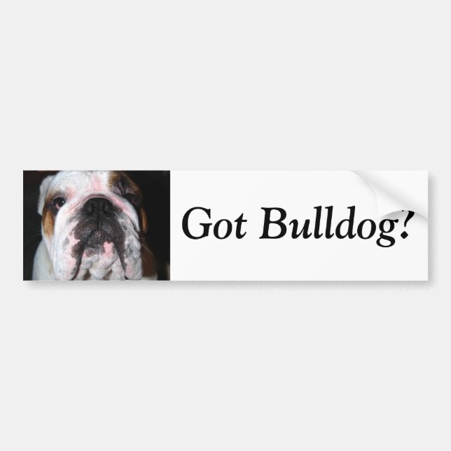 Harbulldogg? Bildekal (Framsidan)