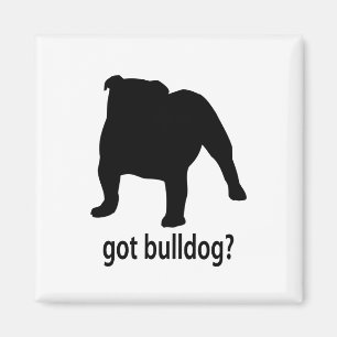 Harbulldogg Magnet
