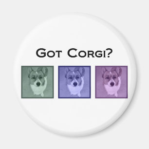 HarCorgi? Gulliga Corgis Magnet