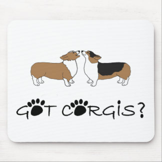 HarCorgis? Musmatta