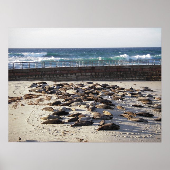 Hård dag i surfan poster (Framsidan)