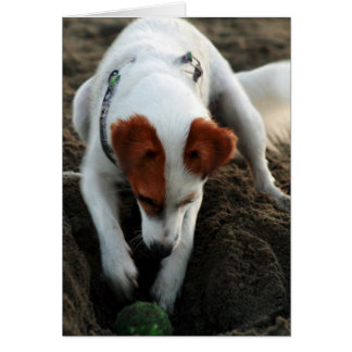 "Hård lek! ", Hälsningskort